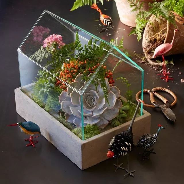 【豪兴家具】用口碑行动签约！